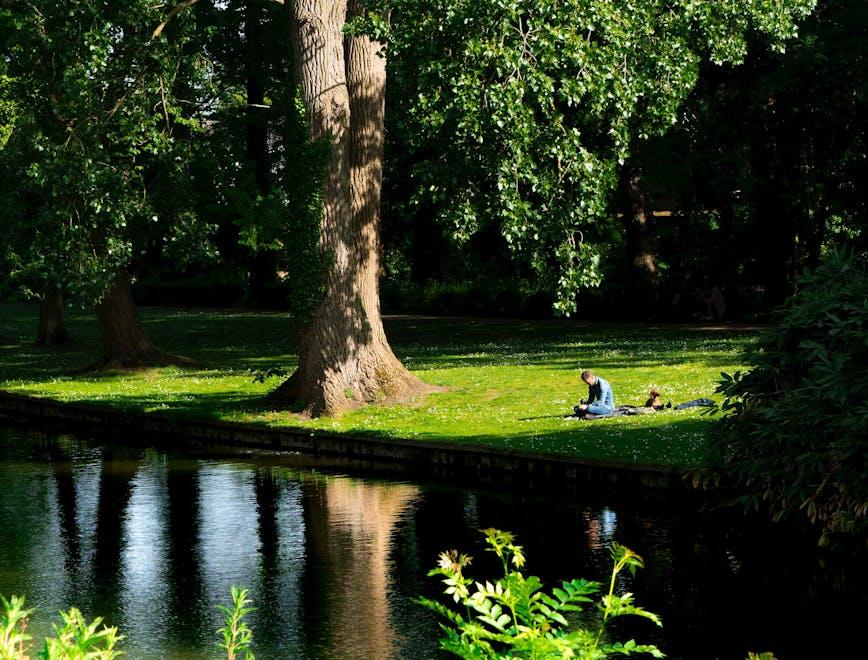 grass plant tree person tree trunk outdoors water park lawn nature