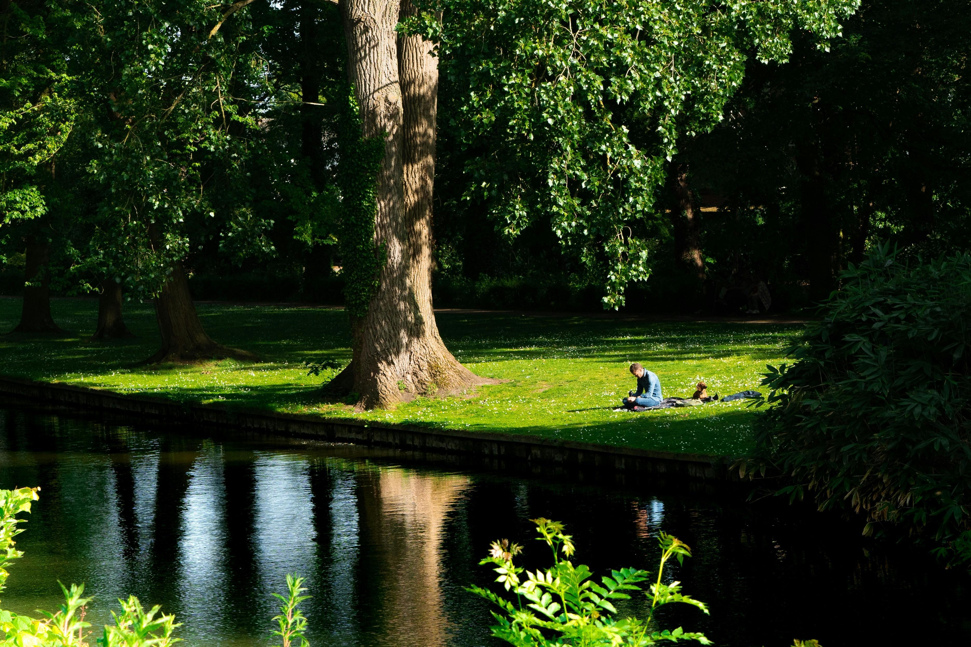 grass plant tree person tree trunk outdoors water park lawn nature