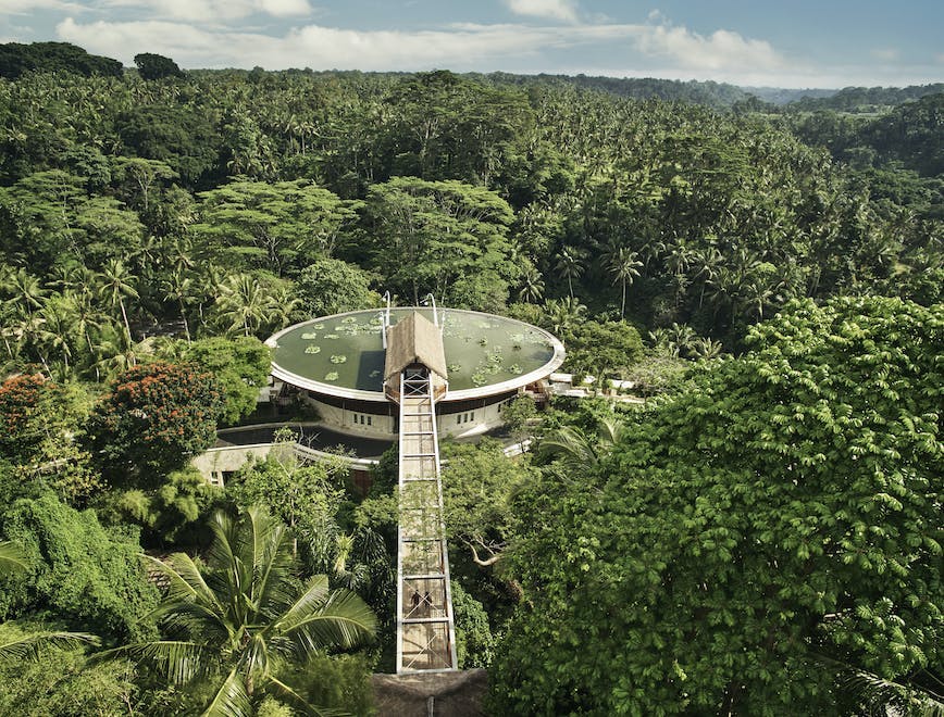 landscape outdoors nature scenery vegetation plant aerial view