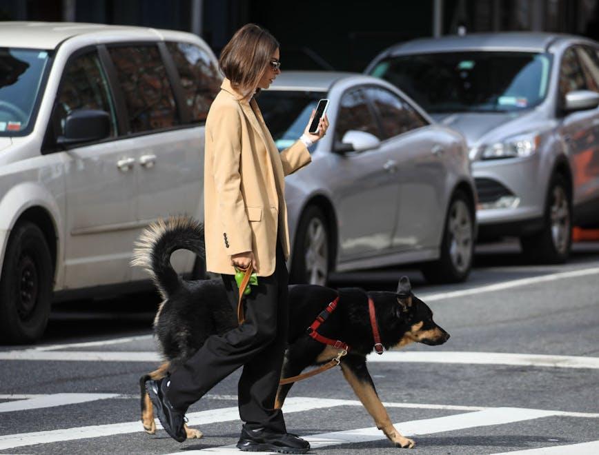 new york tarmac car dog road clothing person tire pedestrian wheel alloy wheel