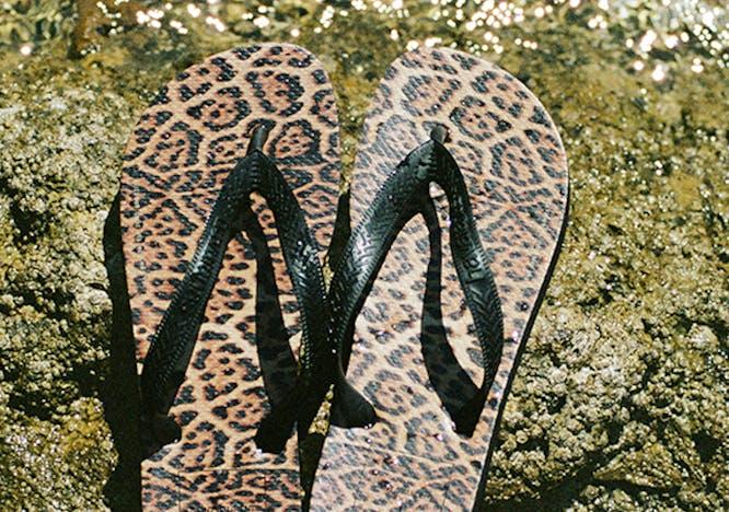 clothing apparel footwear snake animal reptile flip-flop