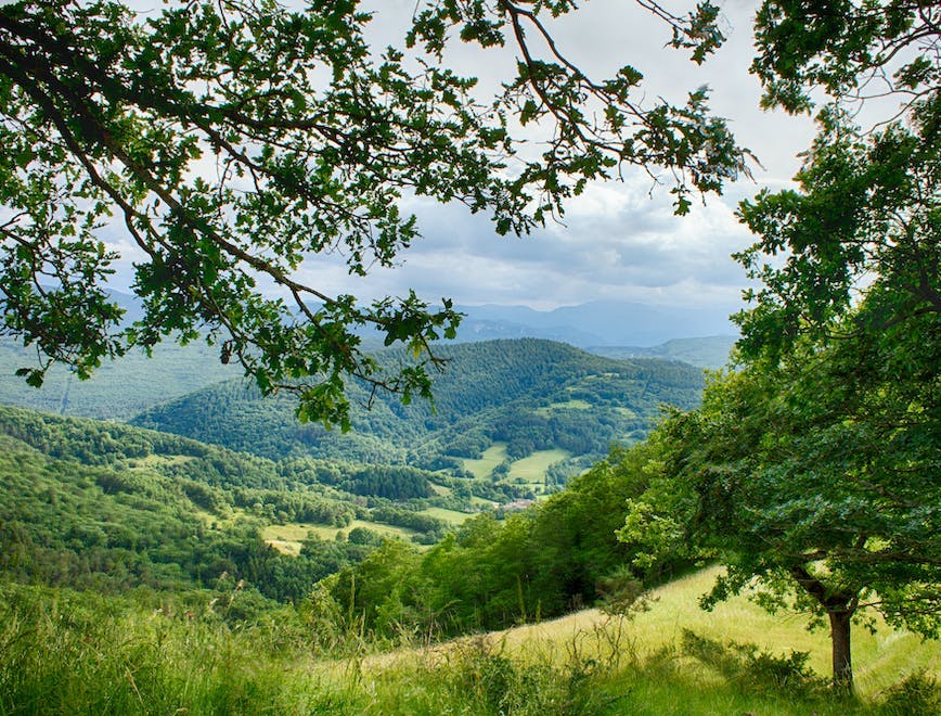 nature outdoors hill countryside grassland field