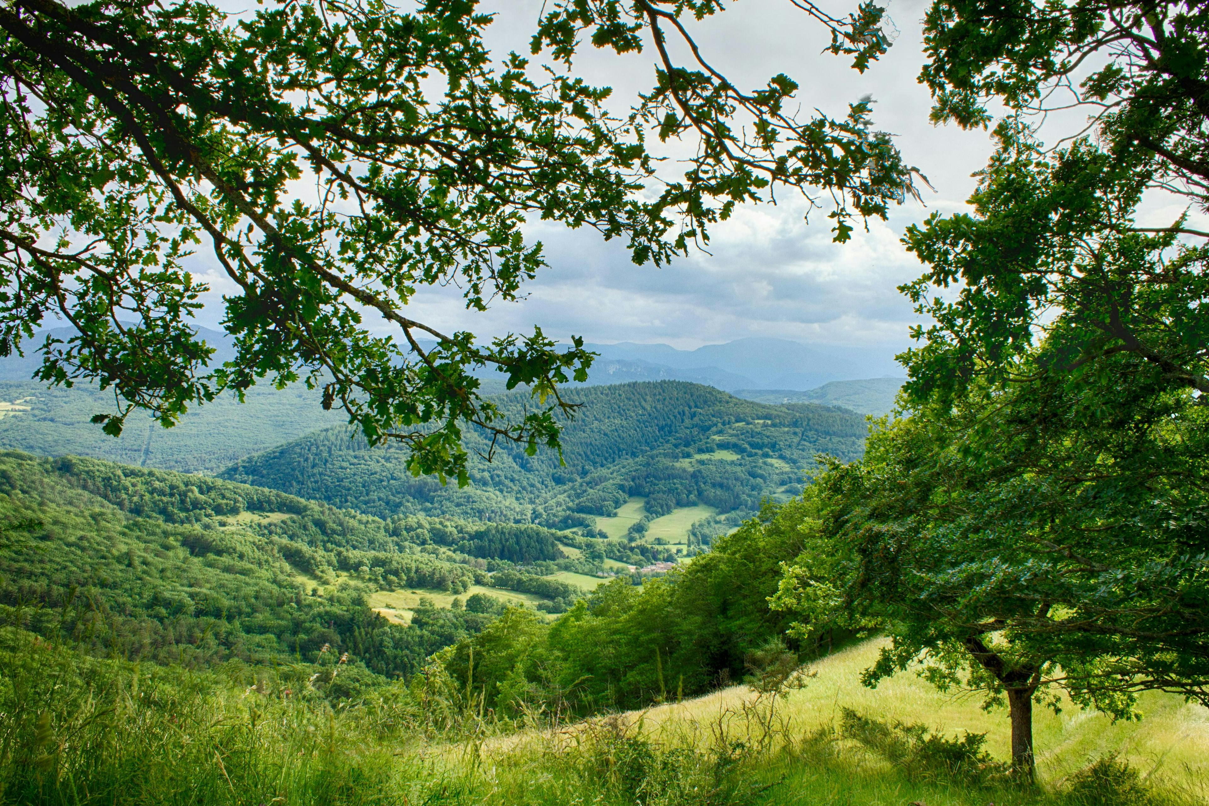 nature outdoors hill countryside grassland field