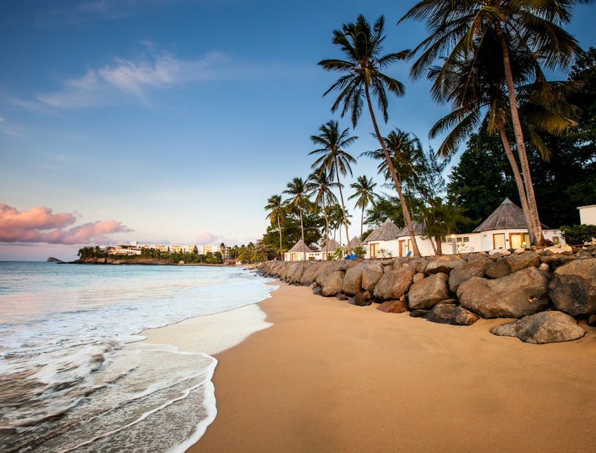 summer tropical shoreline water sea ocean outdoors nature