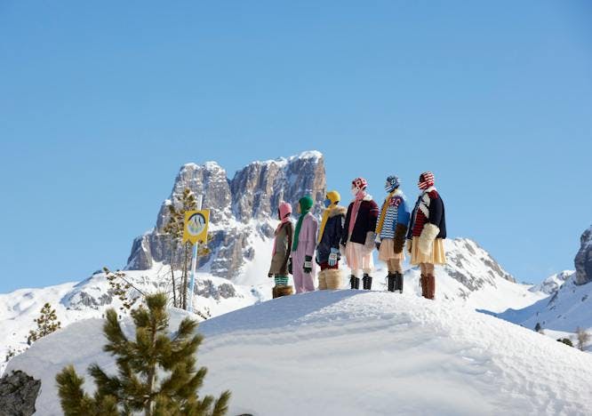 person tree plant nature outdoors fir ice adventure mountain snow