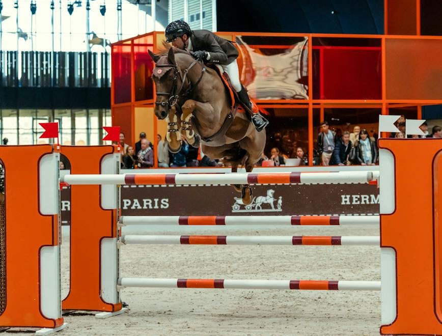 hermès grand palais ephemere horse horses equestrian behind the scenes discipline concentration relief elation frustration joy athletes grooms france art equestrian sport paris person mammal animal human