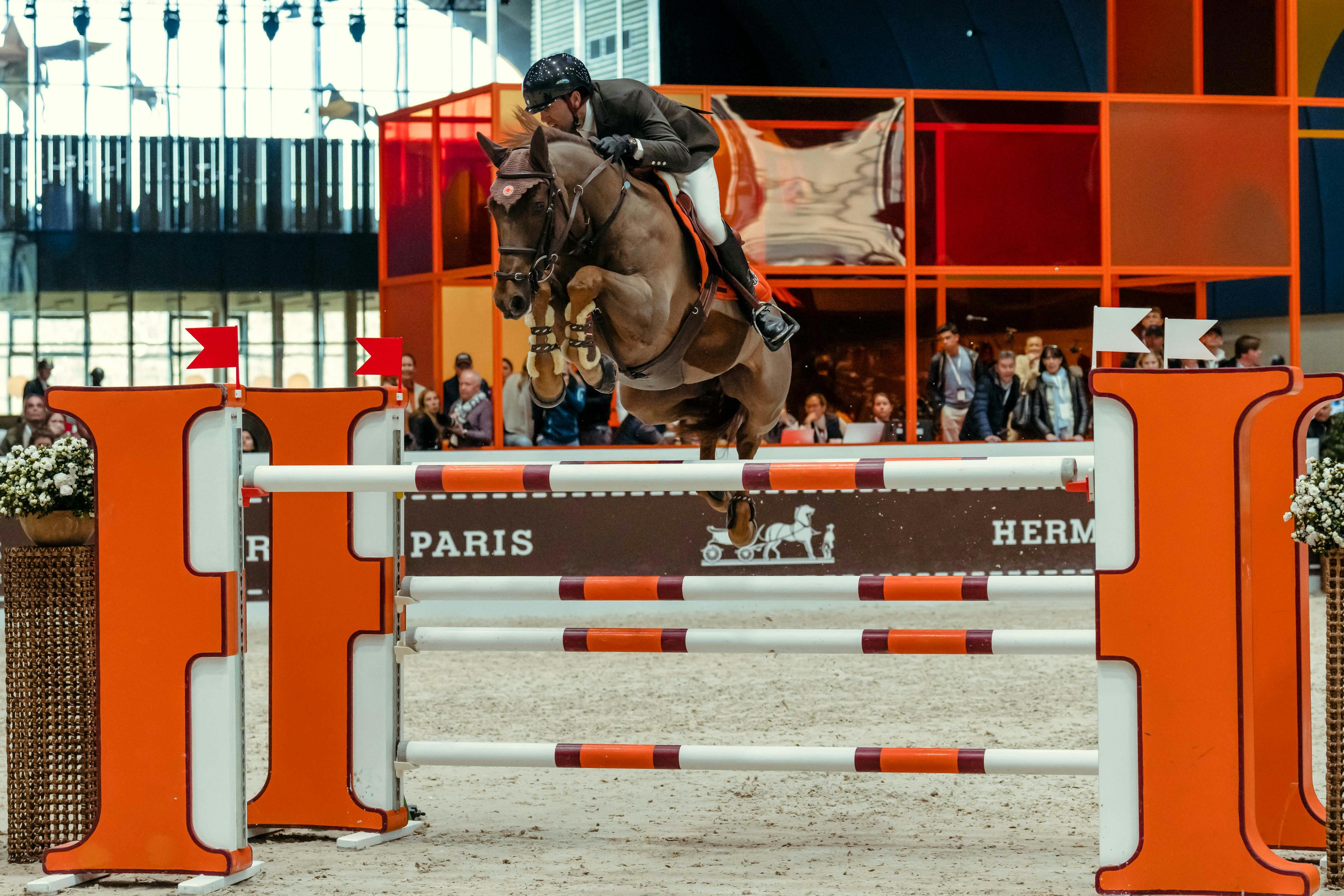 hermès grand palais ephemere horse horses equestrian behind the scenes discipline concentration relief elation frustration joy athletes grooms france art equestrian sport paris person mammal animal human