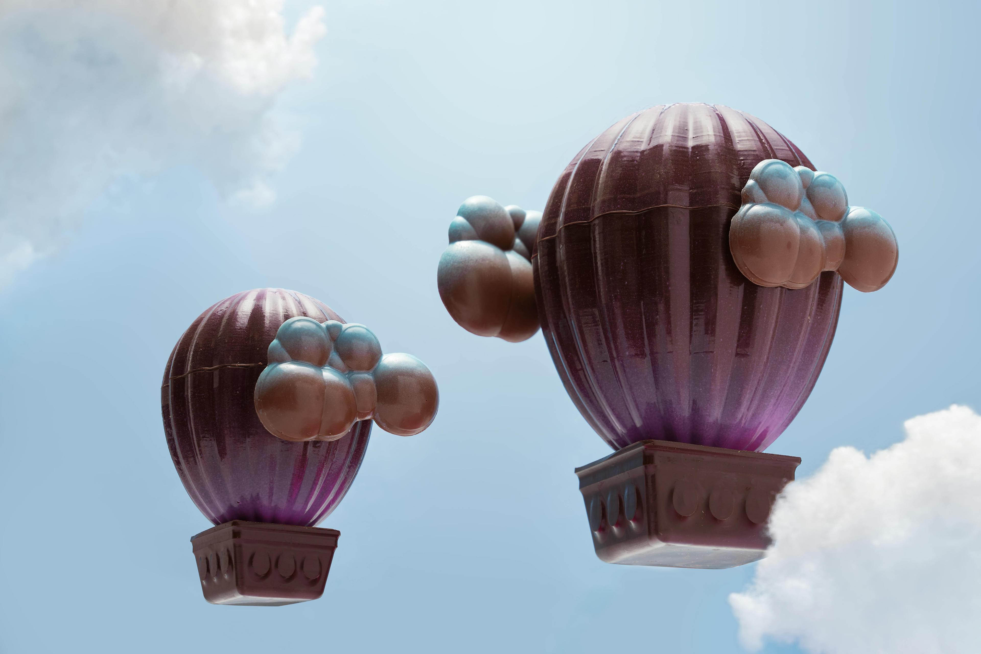 hot air balloon vehicle transportation aircraft