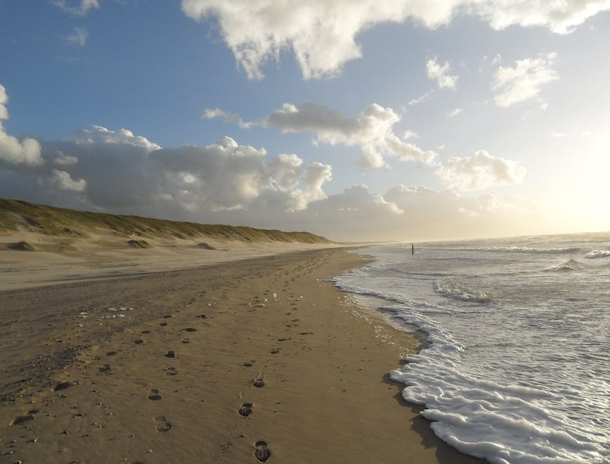 nature outdoors sand