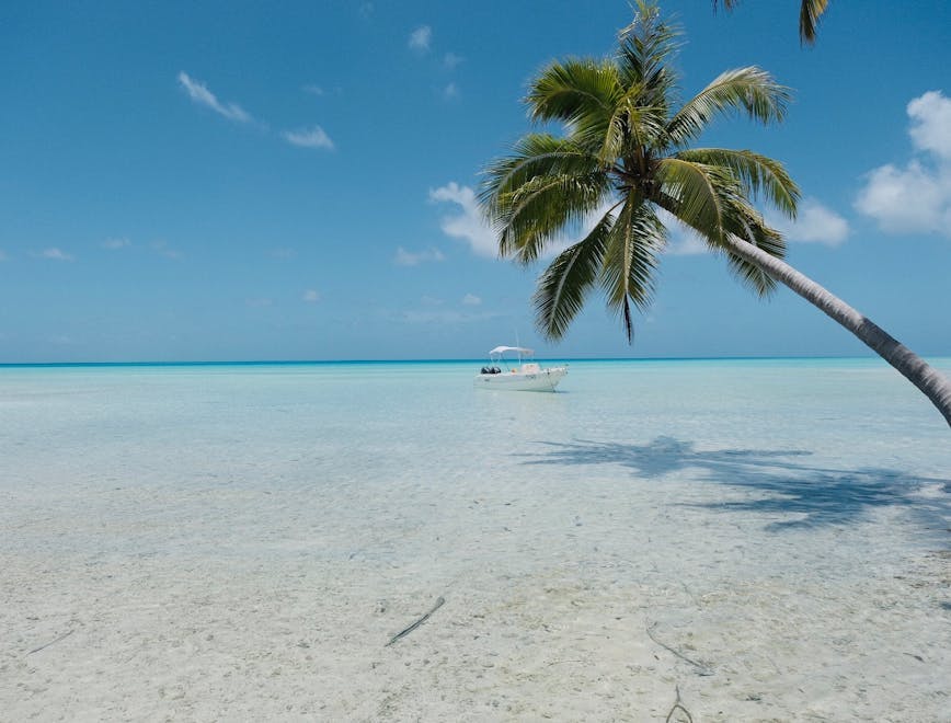 land nature outdoors sea ocean water summer shoreline coast