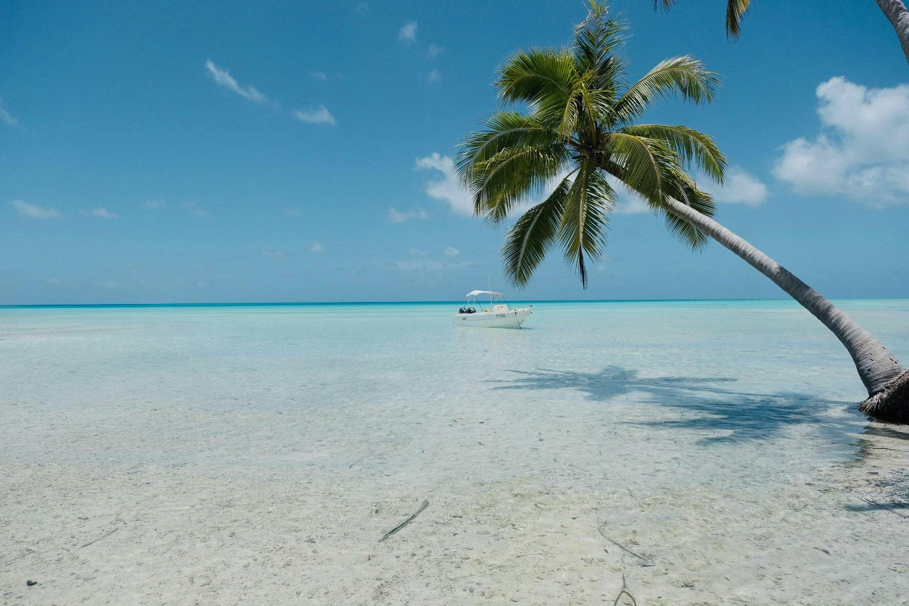 land nature outdoors sea ocean water summer shoreline coast