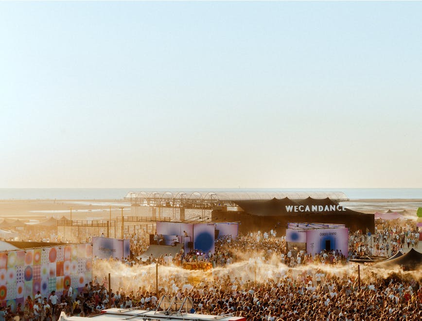 concert crowd person