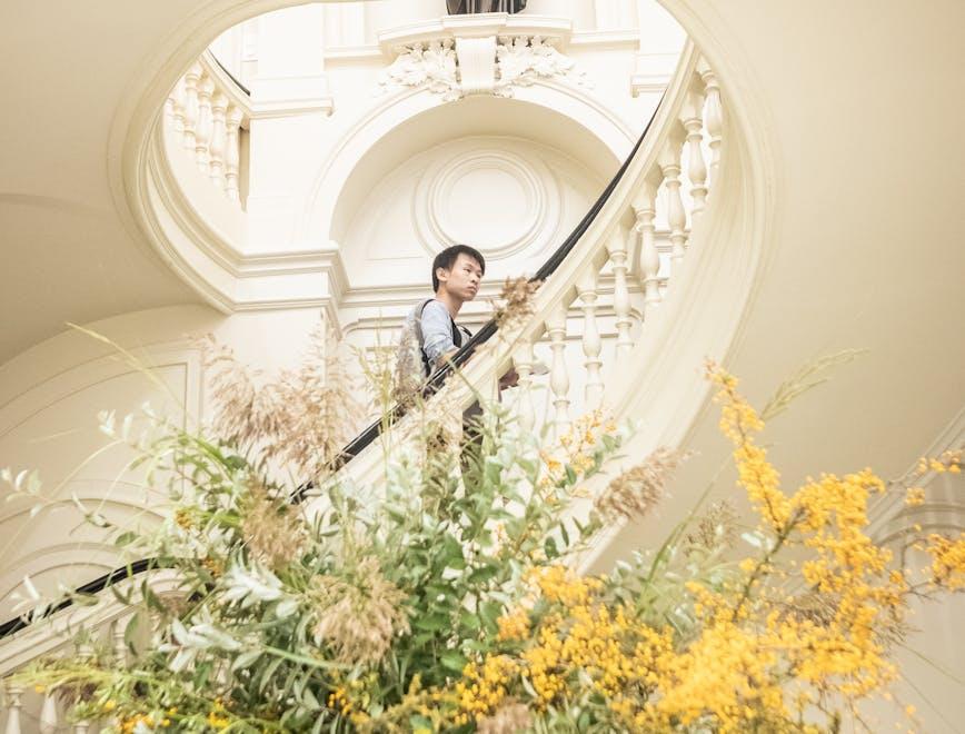 building house housing staircase handrail flower flower arrangement plant flower bouquet person