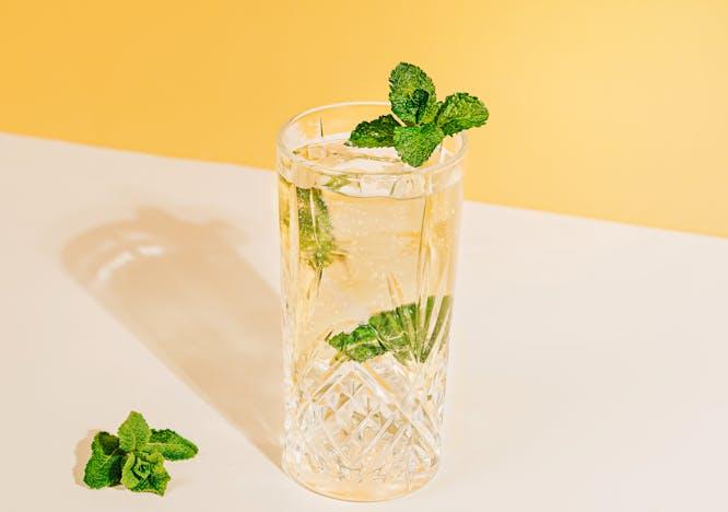 herbs plant mint alcohol beverage cocktail mojito cutlery spoon soda