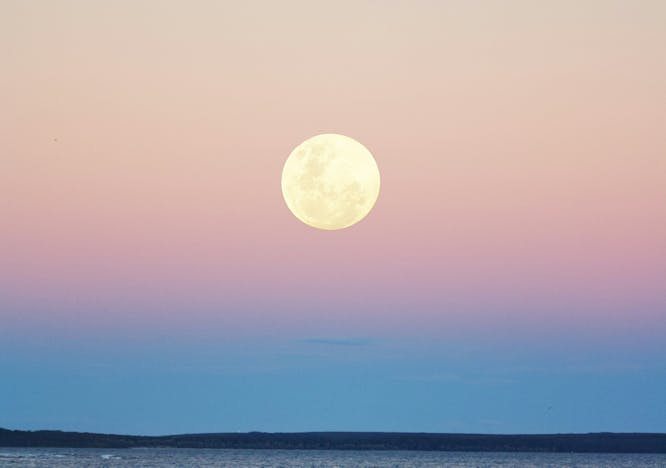 volle maan augustus 2024