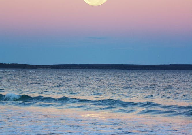 nature night outdoors astronomy moon sky full moon sea beach horizon